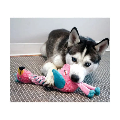 Jouet Kong Knots Twists chien