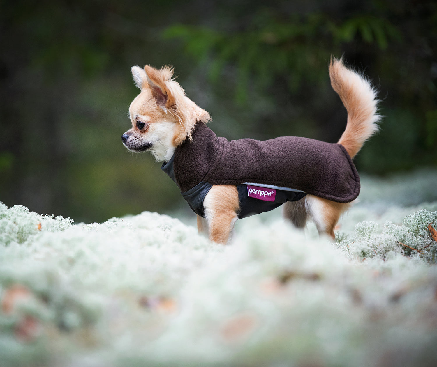 Pomppa Jumppa Chocolat manteau polaire chien