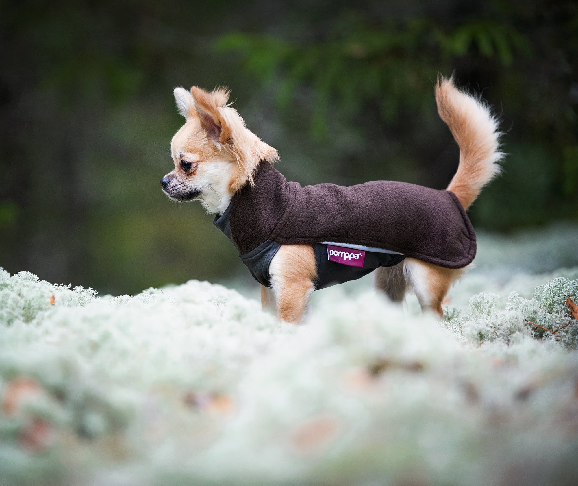 Pomppa Jumppa Chocolat manteau polaire chien