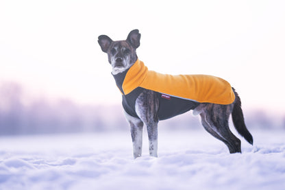 Pomppa Jumppa Curry manteau polaire chien