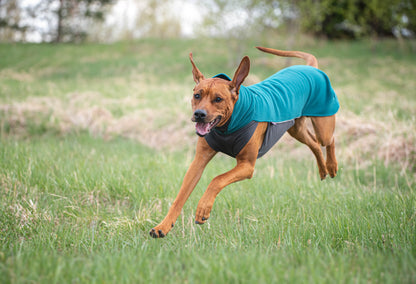 Pomppa Jumppa Forest manteau polaire chien