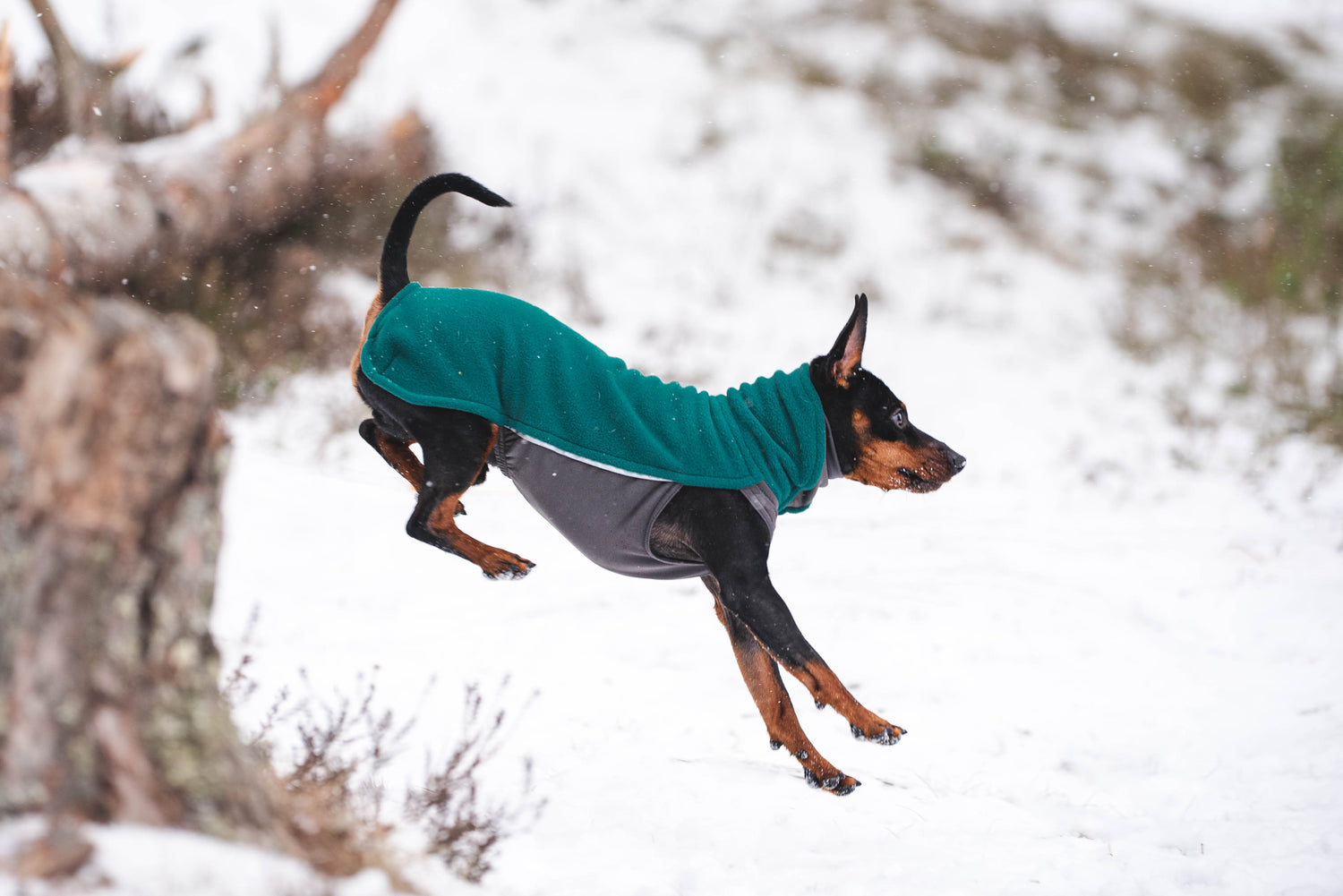Pomppa Jumppa Forest manteau polaire chien