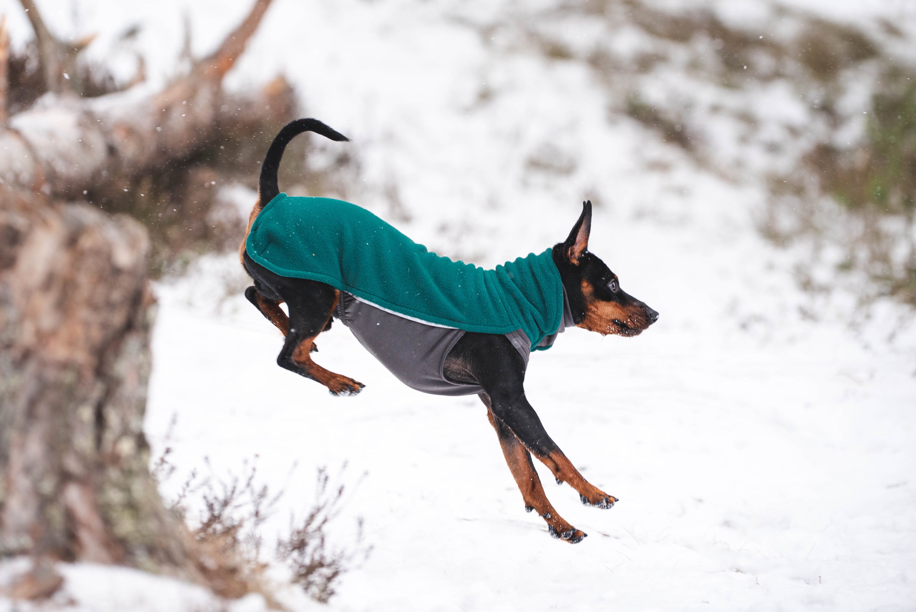 Pomppa Jumppa Forest manteau polaire chien