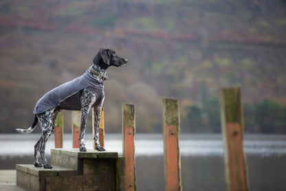 Pomppa Jumppa Graphite - manteau polaire chien
