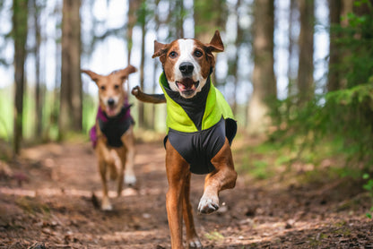 Pomppa Jumppa manteau polaire Lime chien