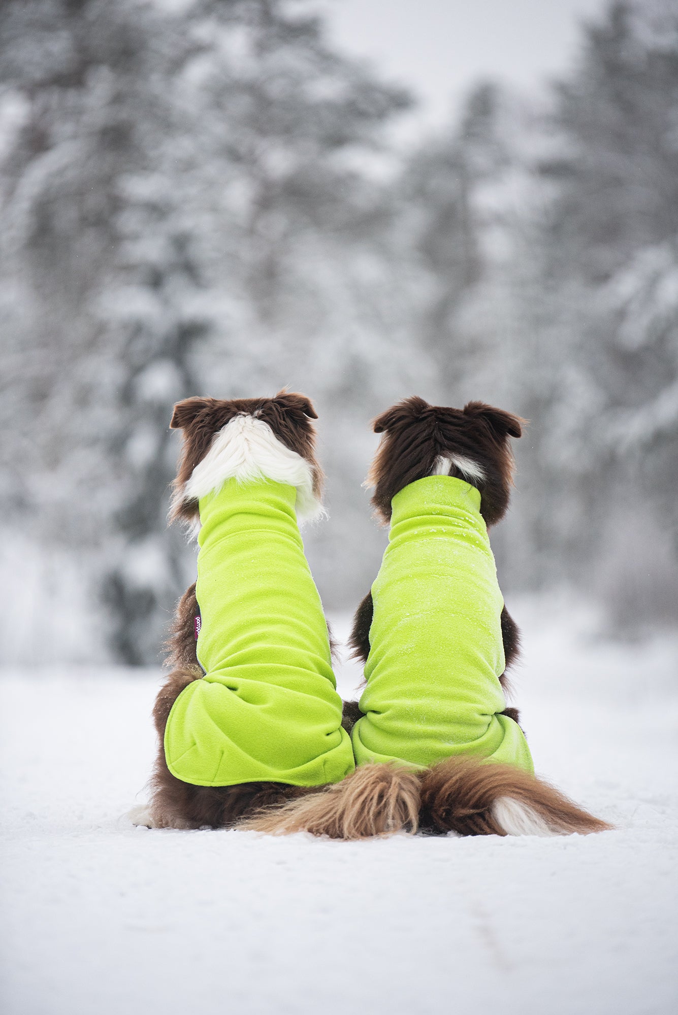 Pomppa Jumppa manteau polaire Lime chien