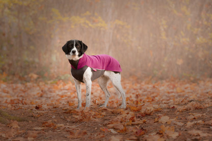 Pomppa Jumppa Plum manteau polaire pour chien
