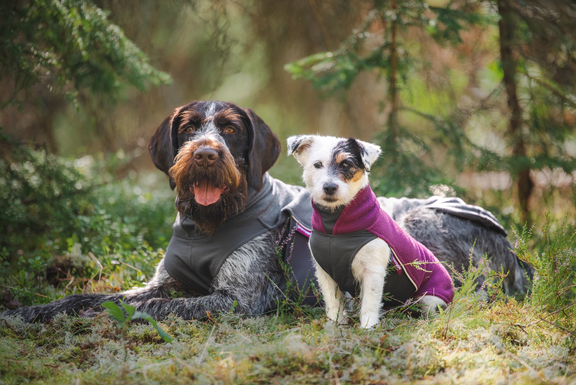 Pomppa Jumppa Plum manteau polaire pour chien