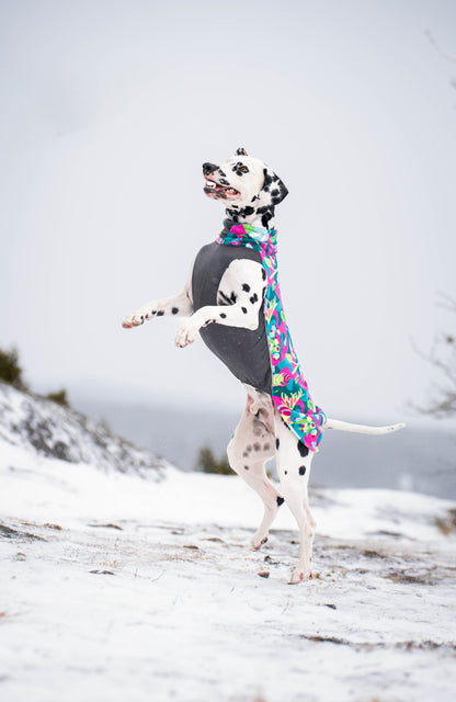 Pomppa Jumppa Trail manteau polaire chien