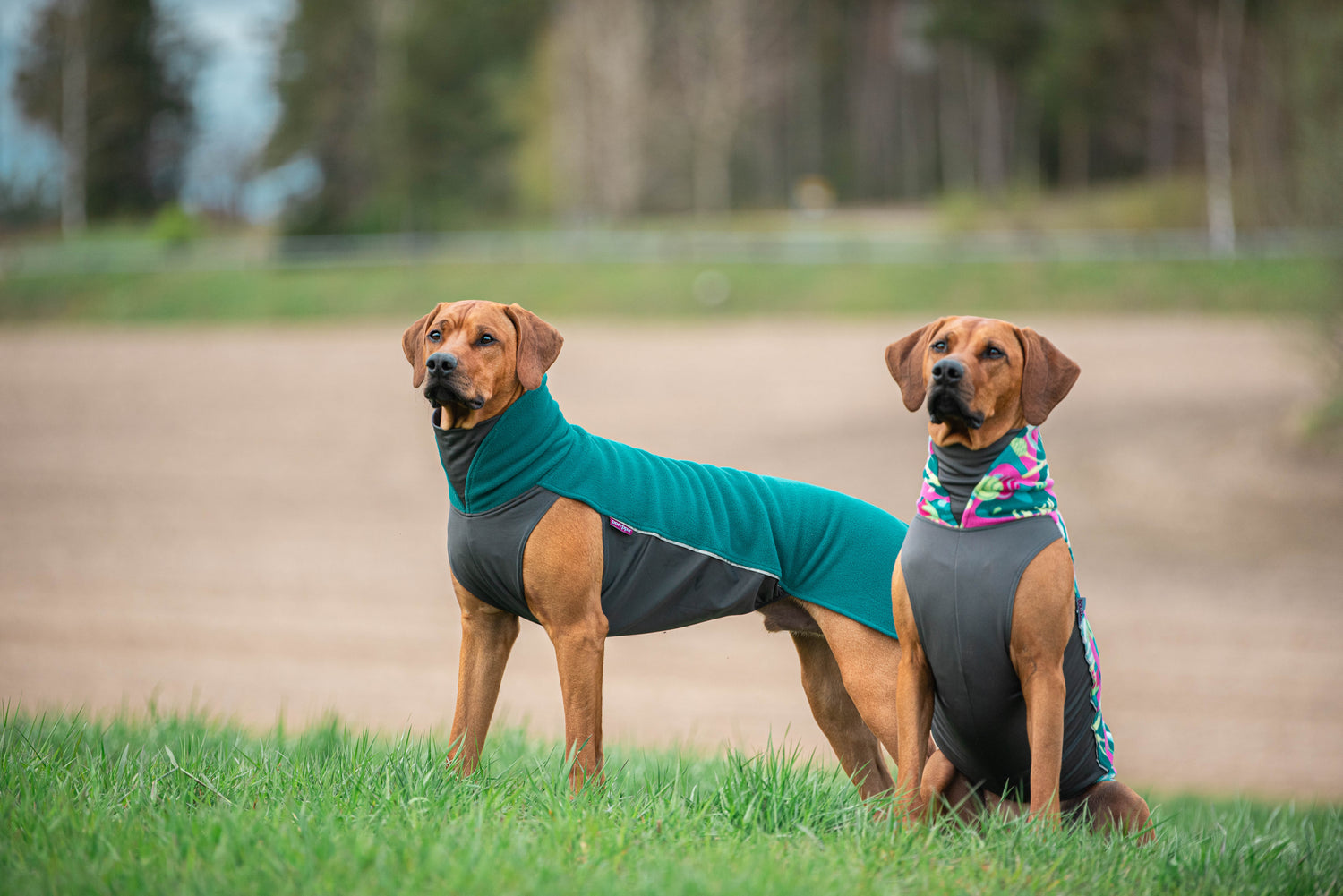 Pomppa Jumppa Forest manteau polaire chien