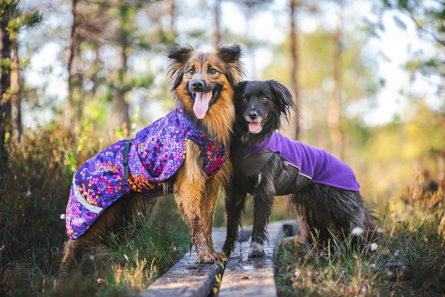 Pomppa Jumppa Violet manteau polaire chien