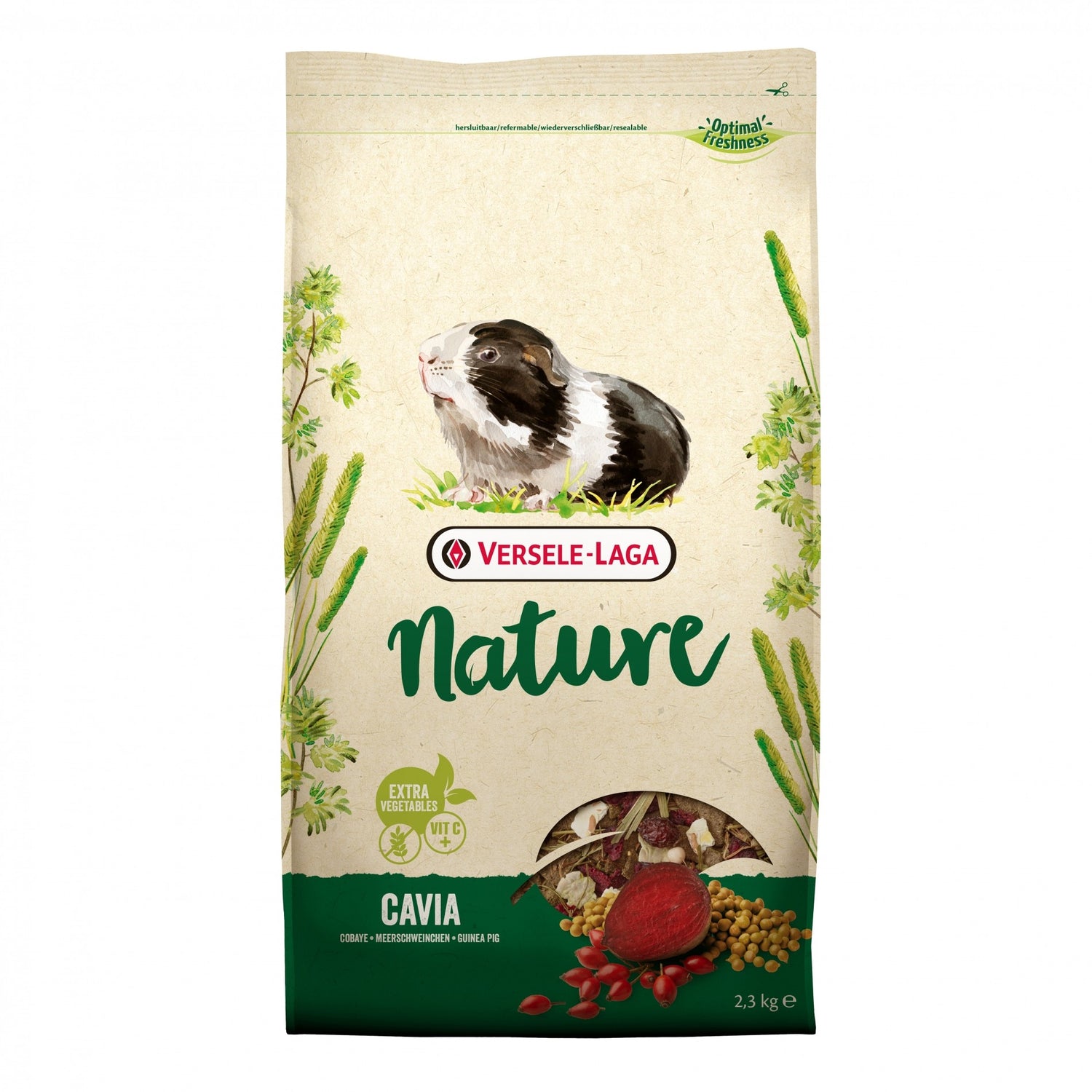 Nature Cavia rongeur