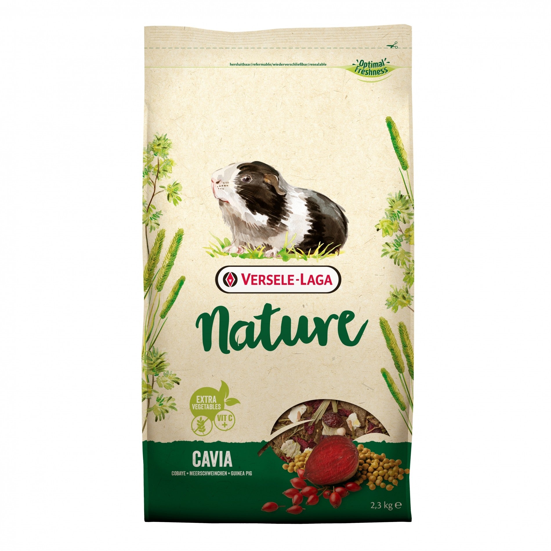 Nature Cavia rongeur