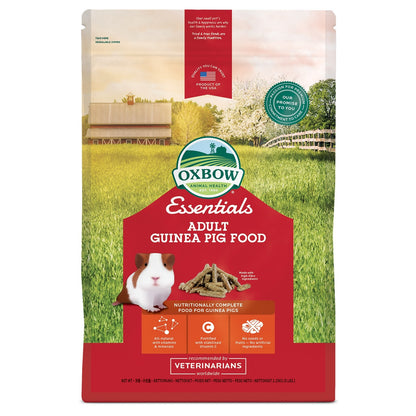 Cavy Cuisine Adulte