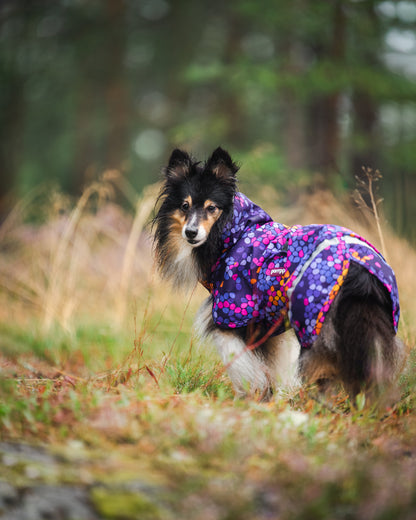 Pomppa Kevyt Cosmos manteau imperméable chien