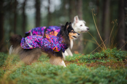 Pomppa Kevyt Cosmos manteau imperméable chien