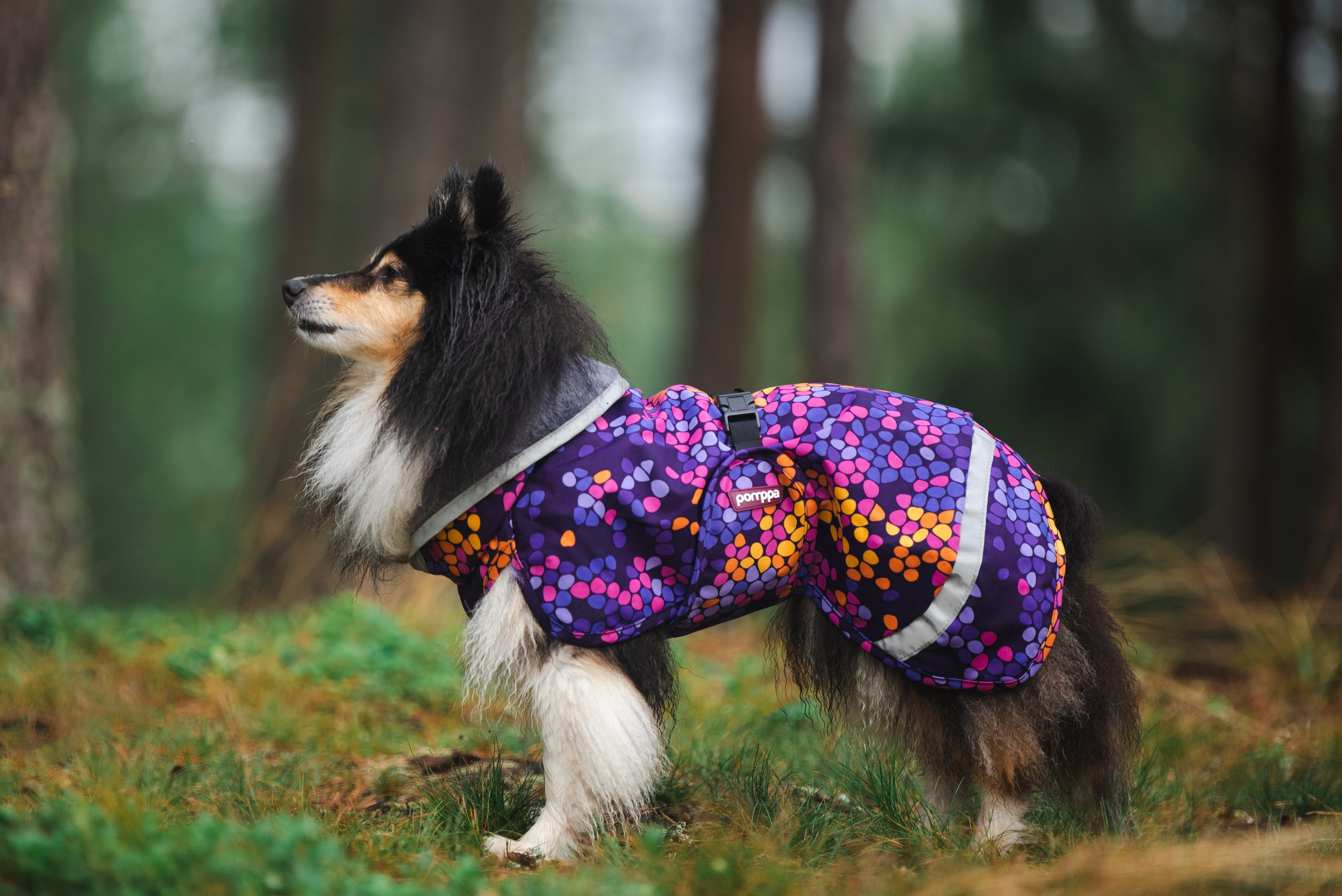 Pomppa Kevyt Cosmos manteau imperméable chien