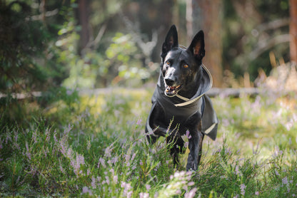 Pomppa Kevyt Graphite manteau imperméable chien