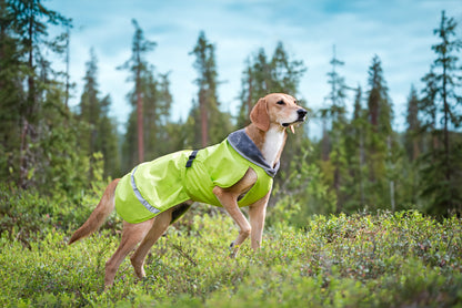 Pomppa Kevyt Lime manteau imperméable chien