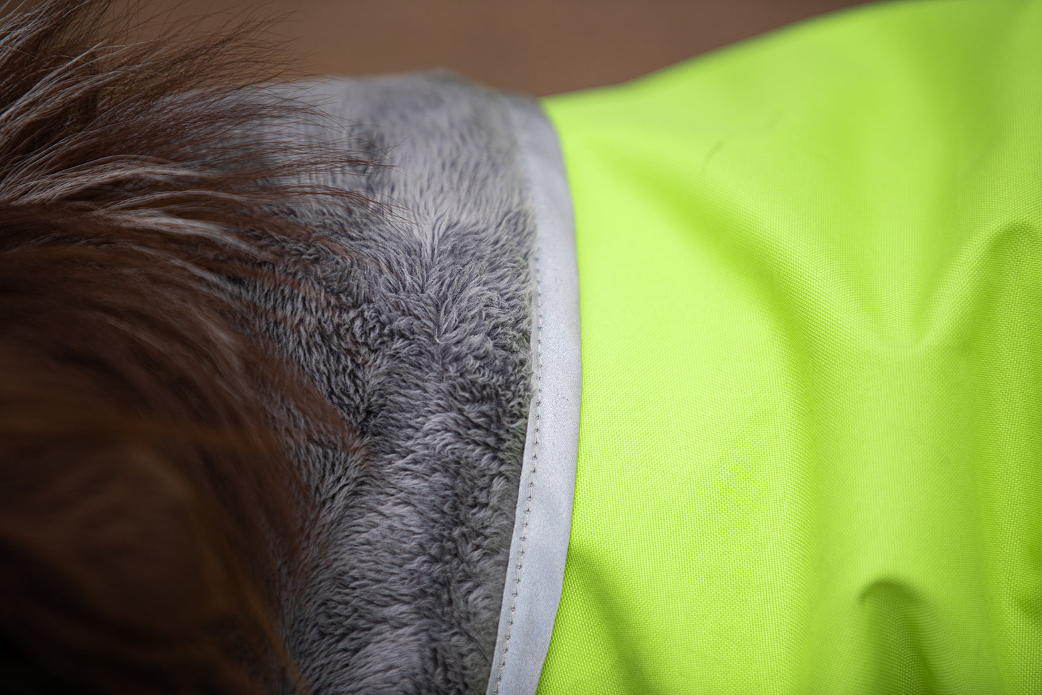 Pomppa Kevyt Lime manteau imperméable chien