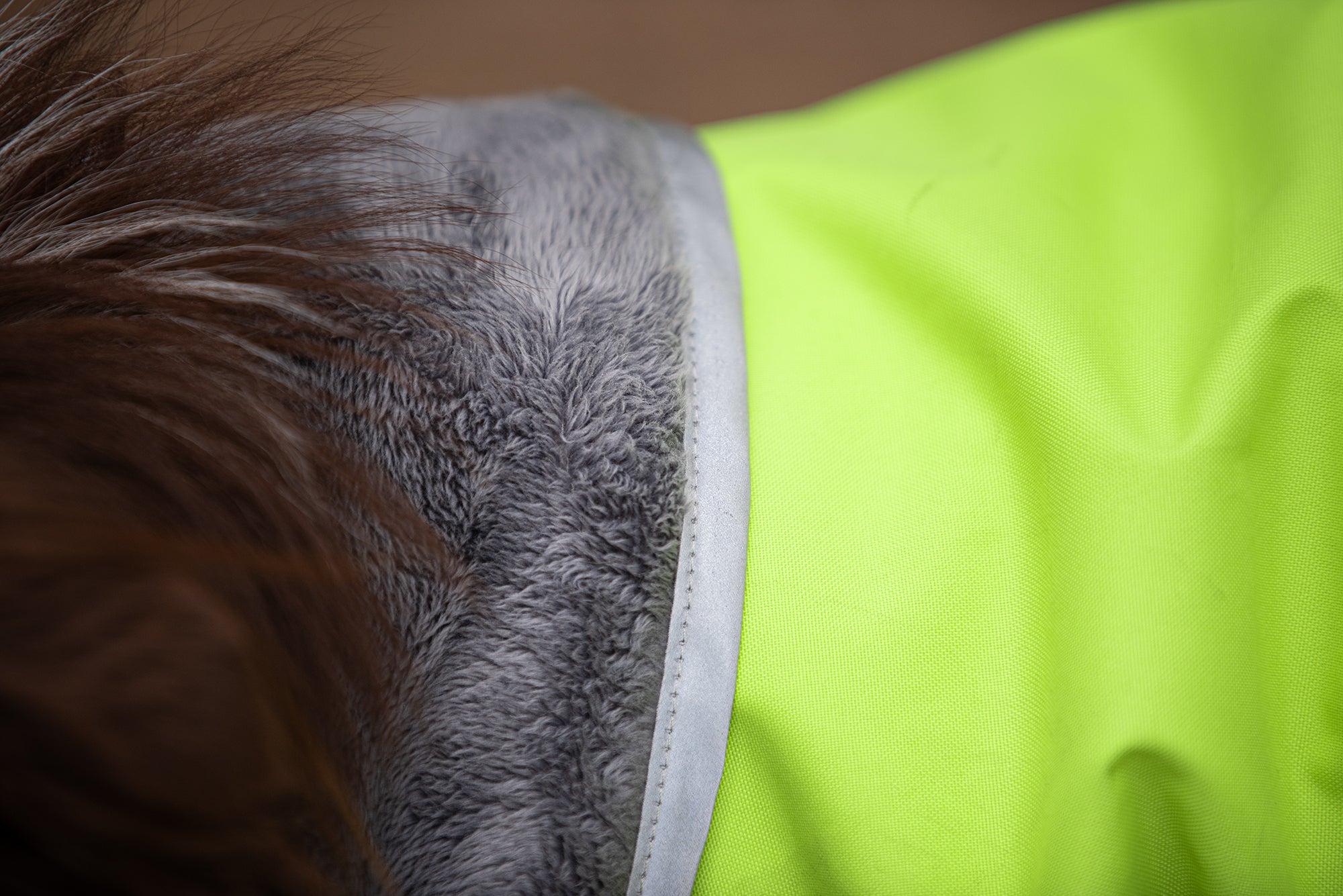 Pomppa Kevyt Lime manteau imperméable chien