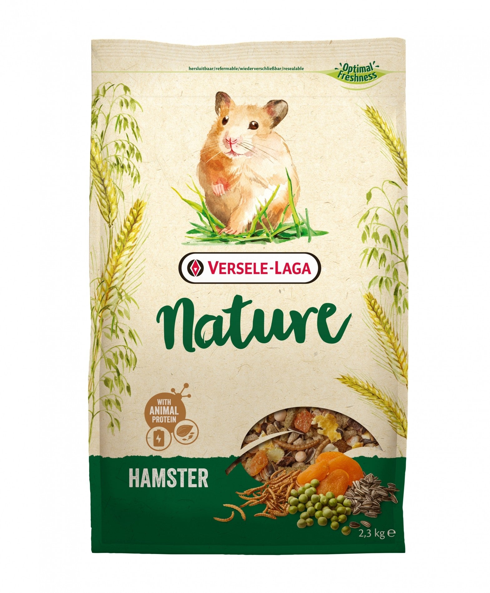 Hamster Nature