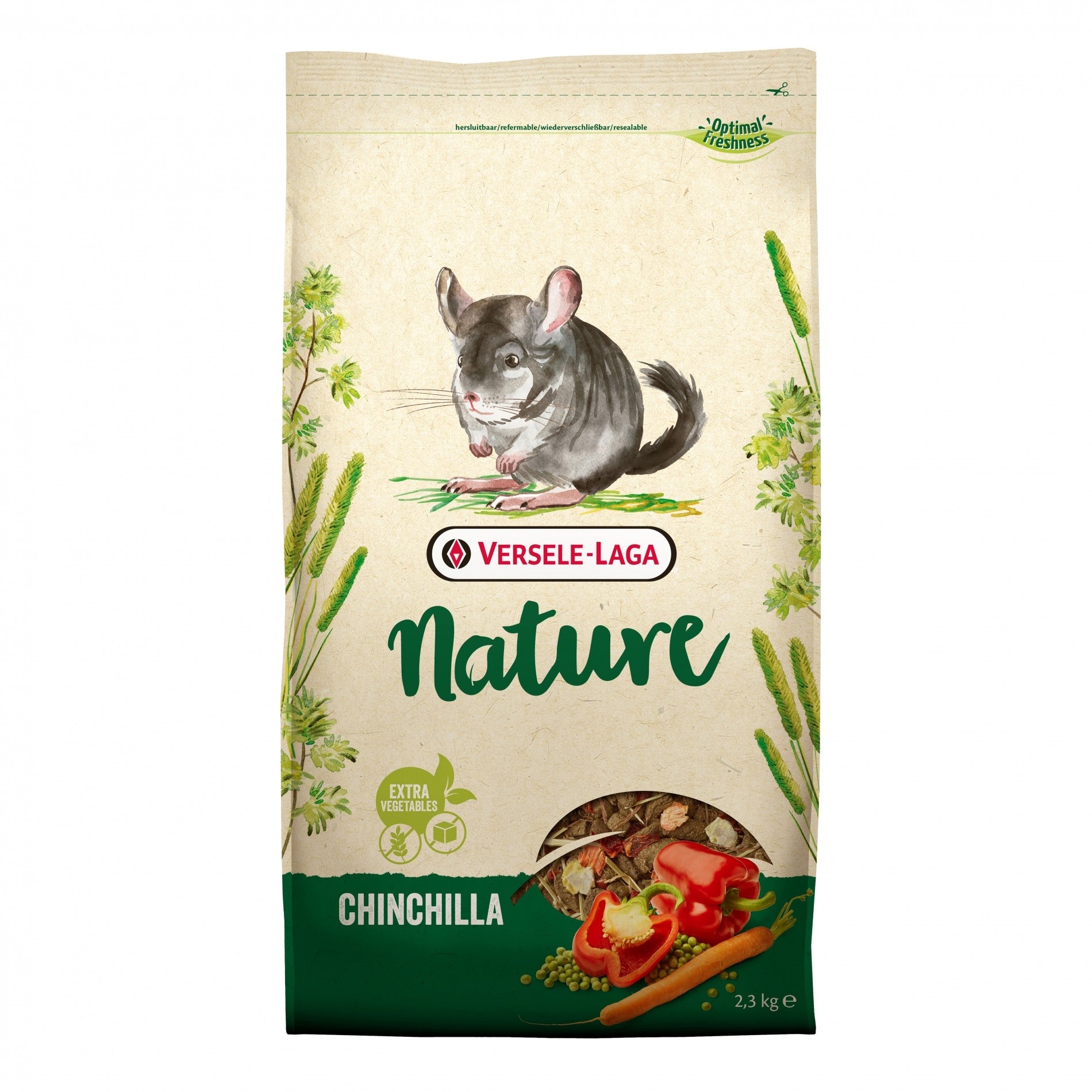 Nature chinchilla