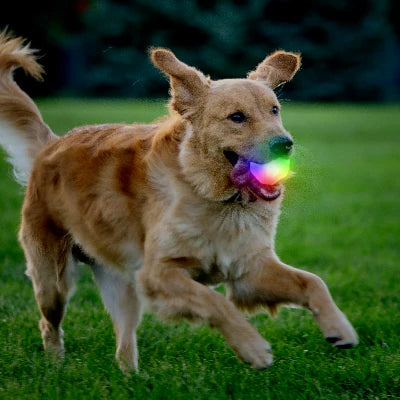 Glow Streak balle luminuseuse LED