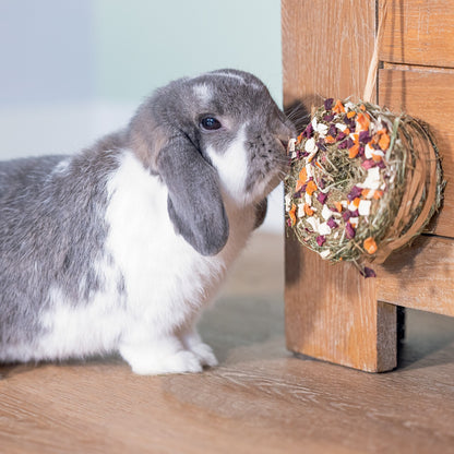 Donut de foin lapin, rongeur