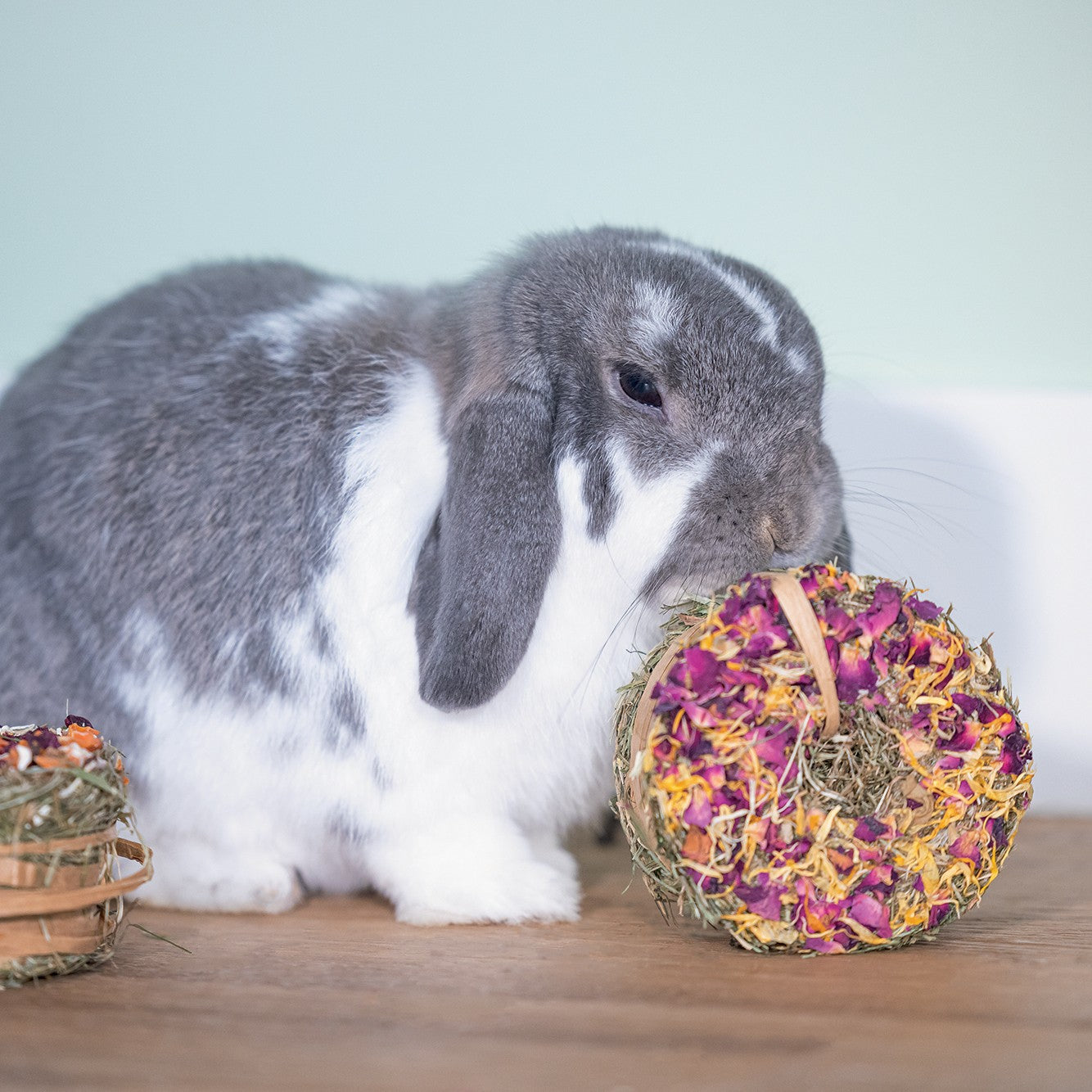 Donut de foin lapin, rongeur