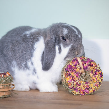 Donut de foin lapin, rongeur