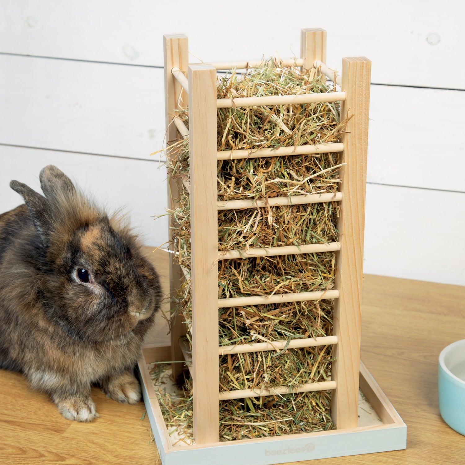 Tour râtelier beige &amp; bleu Denga lapin, rongeur