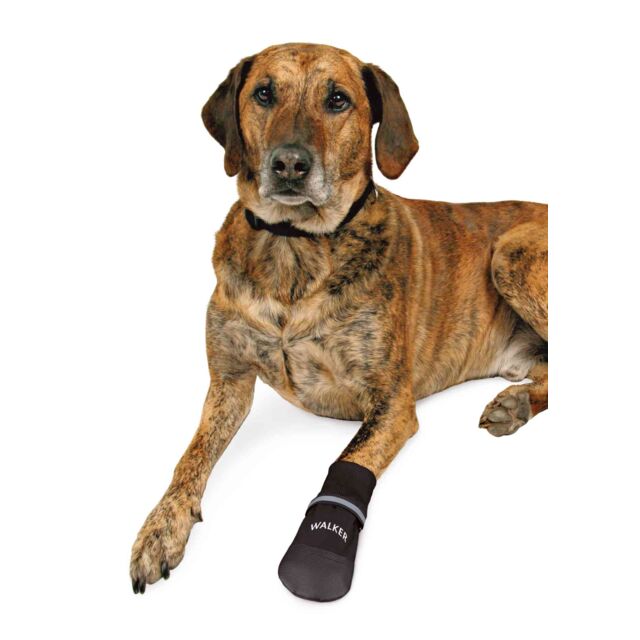Protection des pattes Walker Care Confort