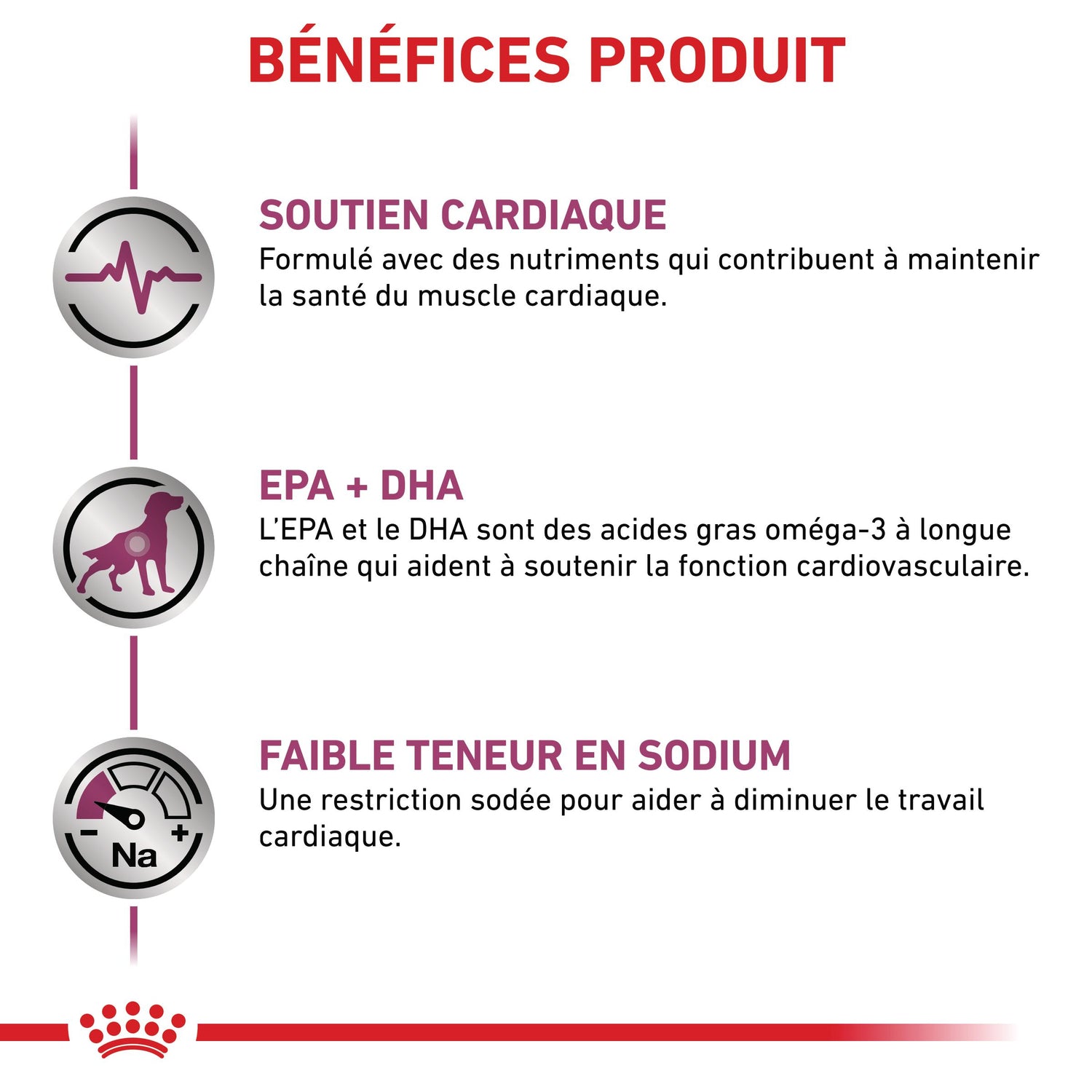Royal Canin Veterinary Cardiac - aliment chien
