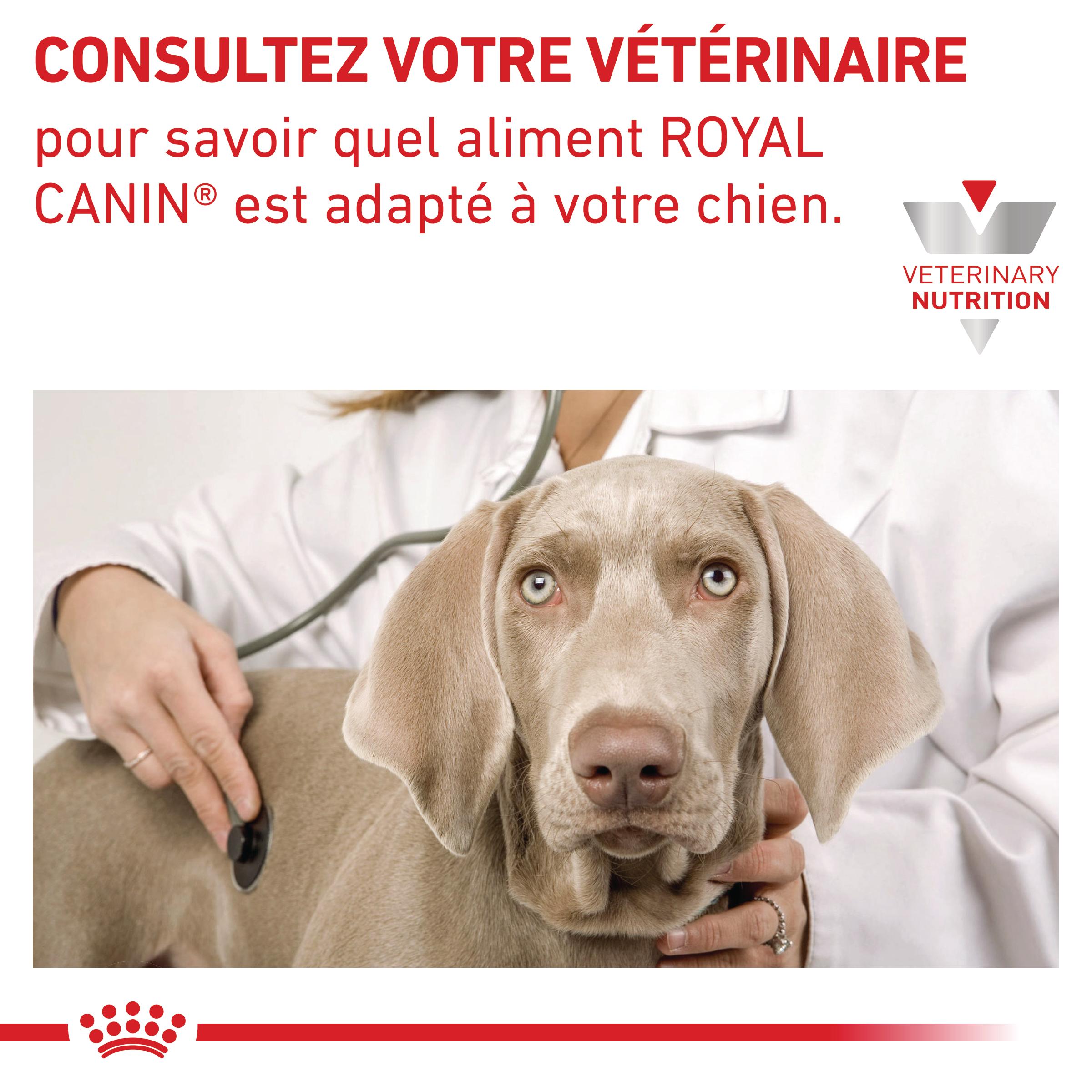 Royal Canin Veterinary Cardiac - aliment chien