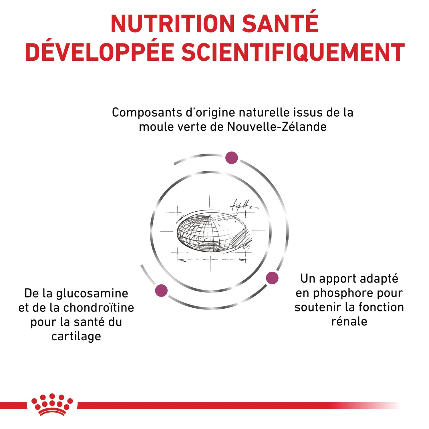 Royal Canin Veterinary Mobility - croquettes chat