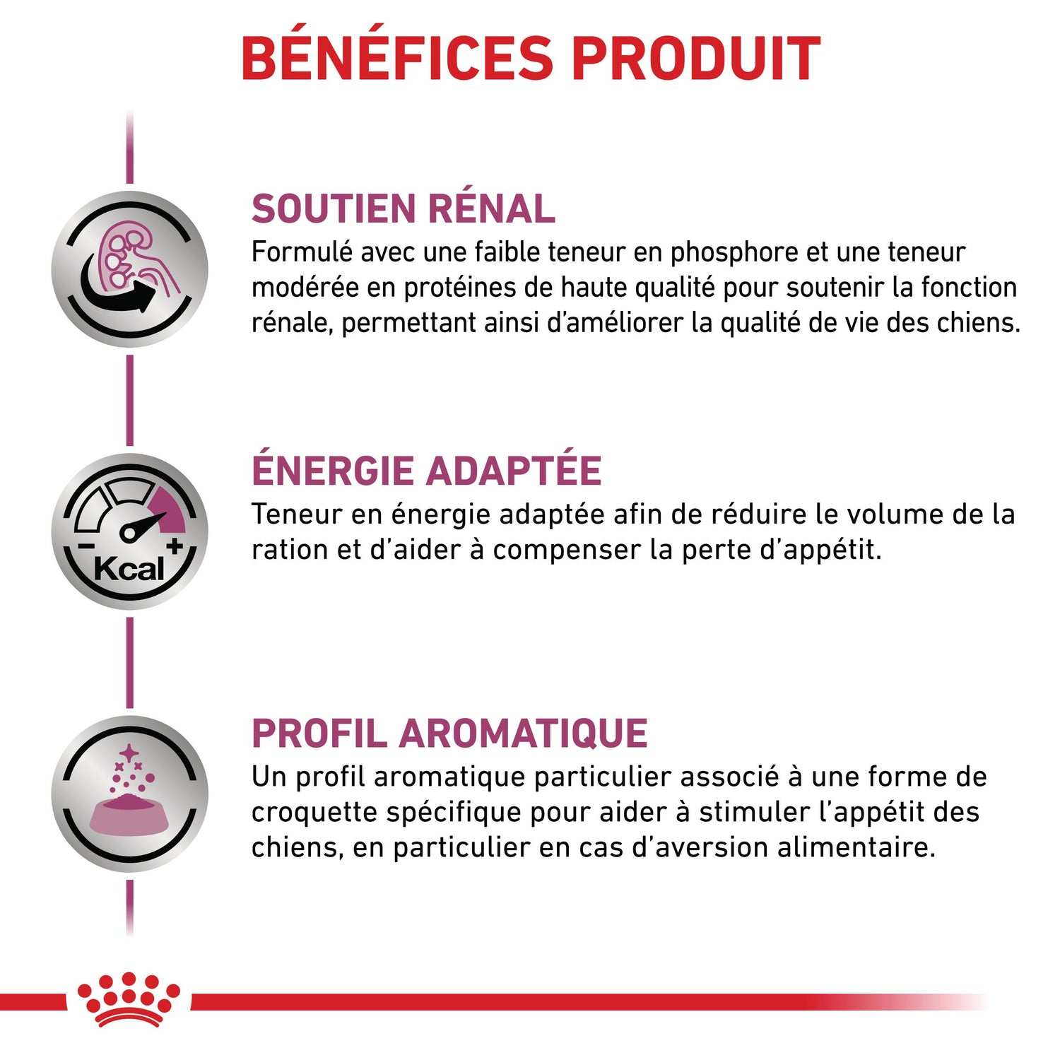 Royal Canin Veterinary Renal - aliment pour chien