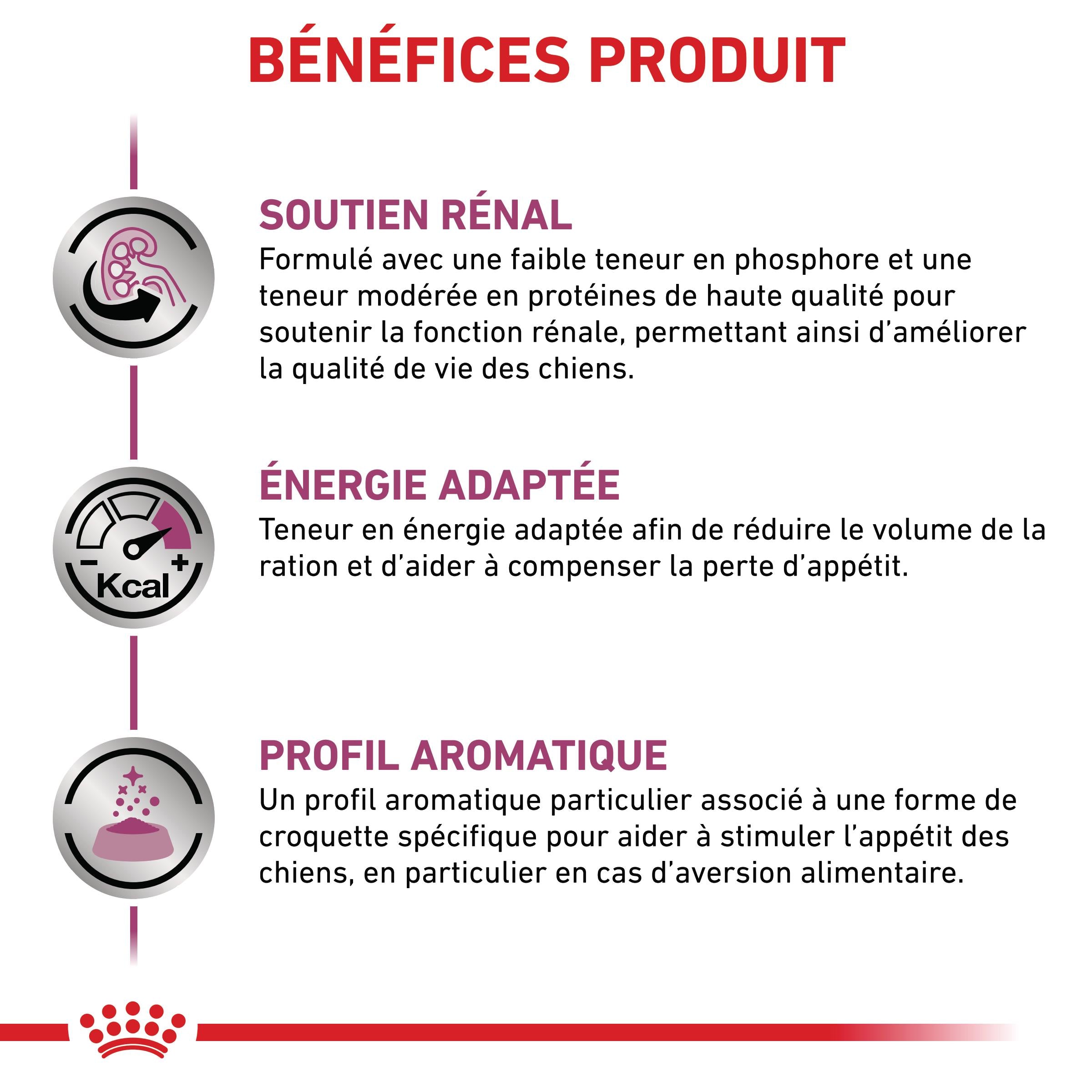 Royal Canin Veterinary Renal Select - croquettes chien