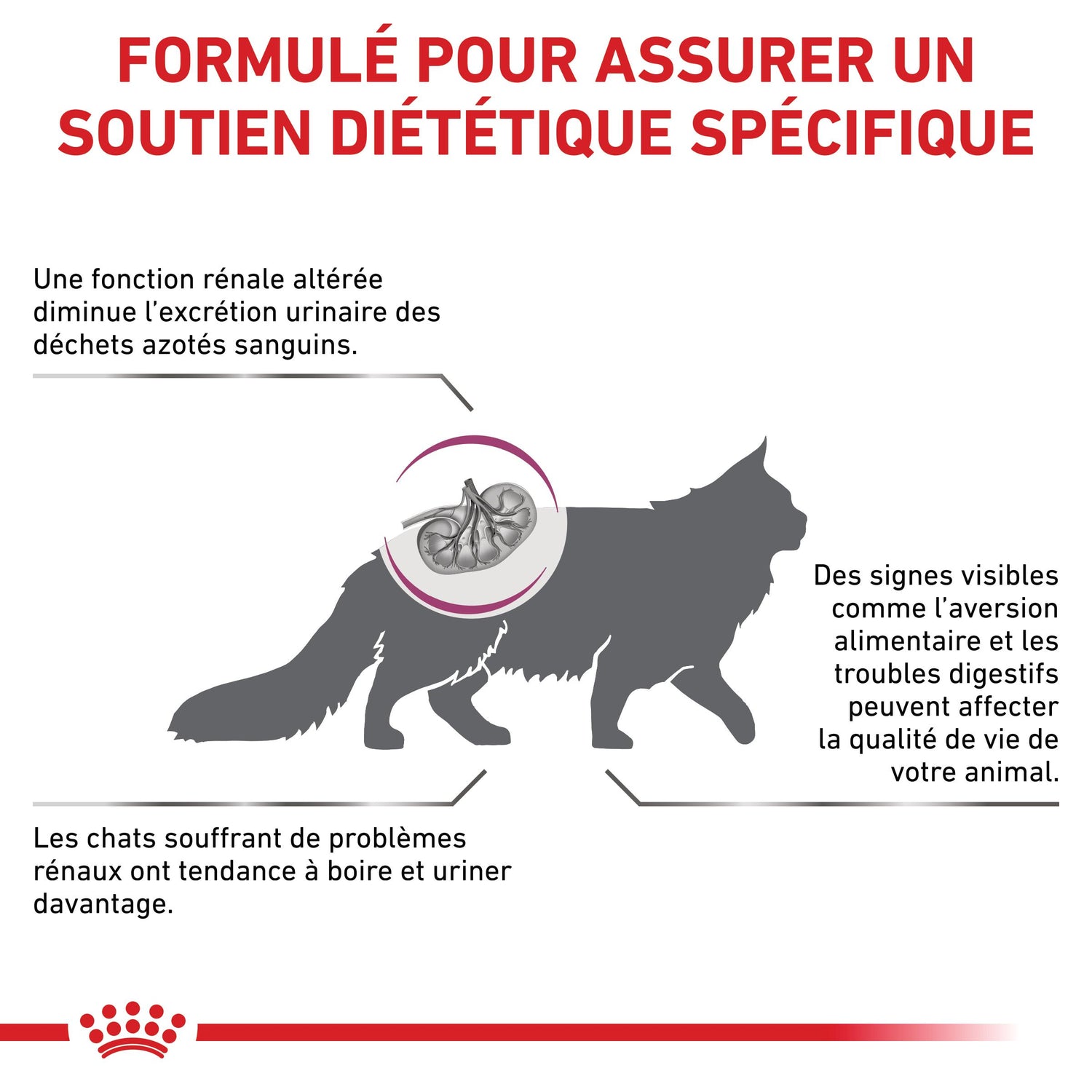 Royal Canin Veterinary Renal Select - croquettes chat