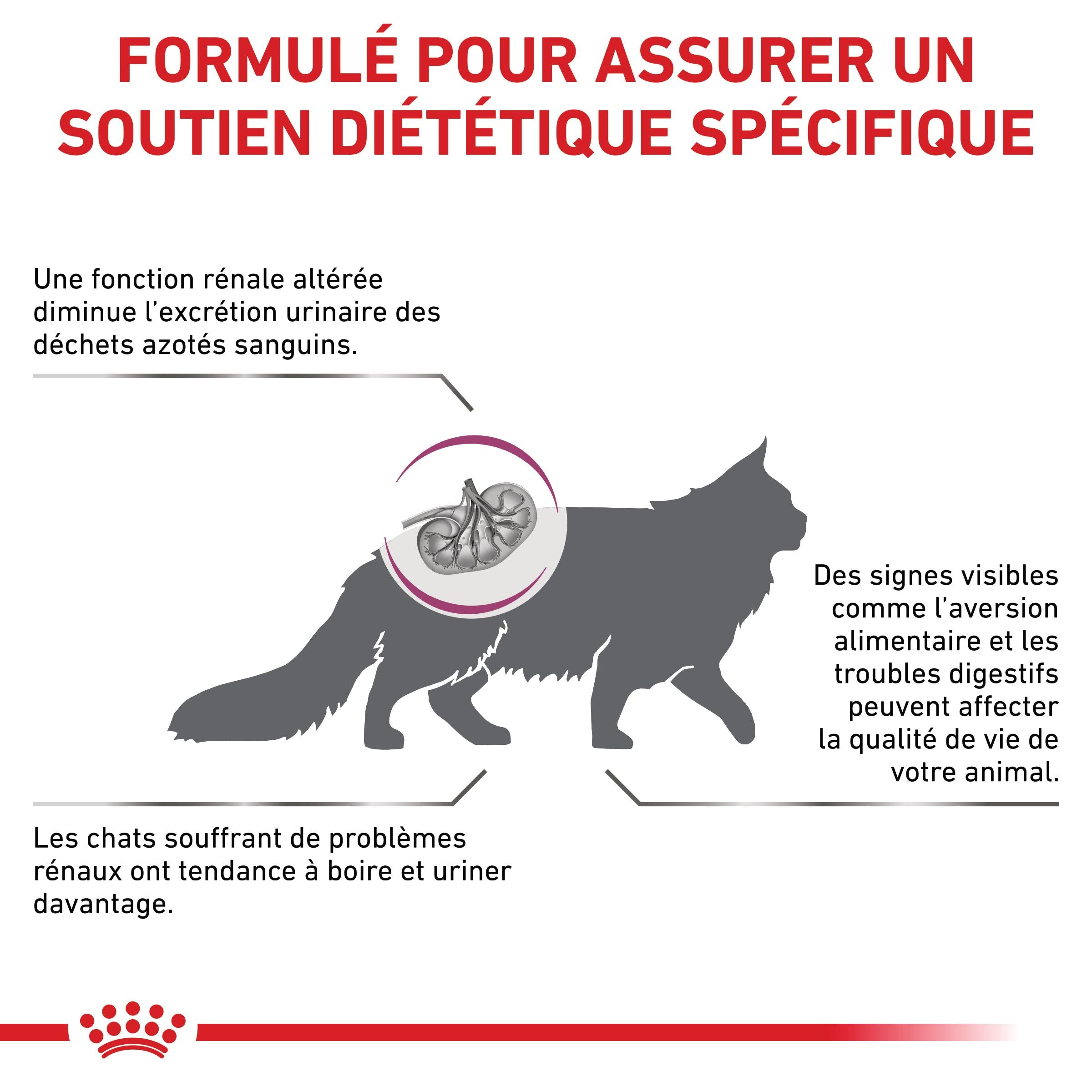 Royal Canin Veterinary Renal Select - croquettes chat