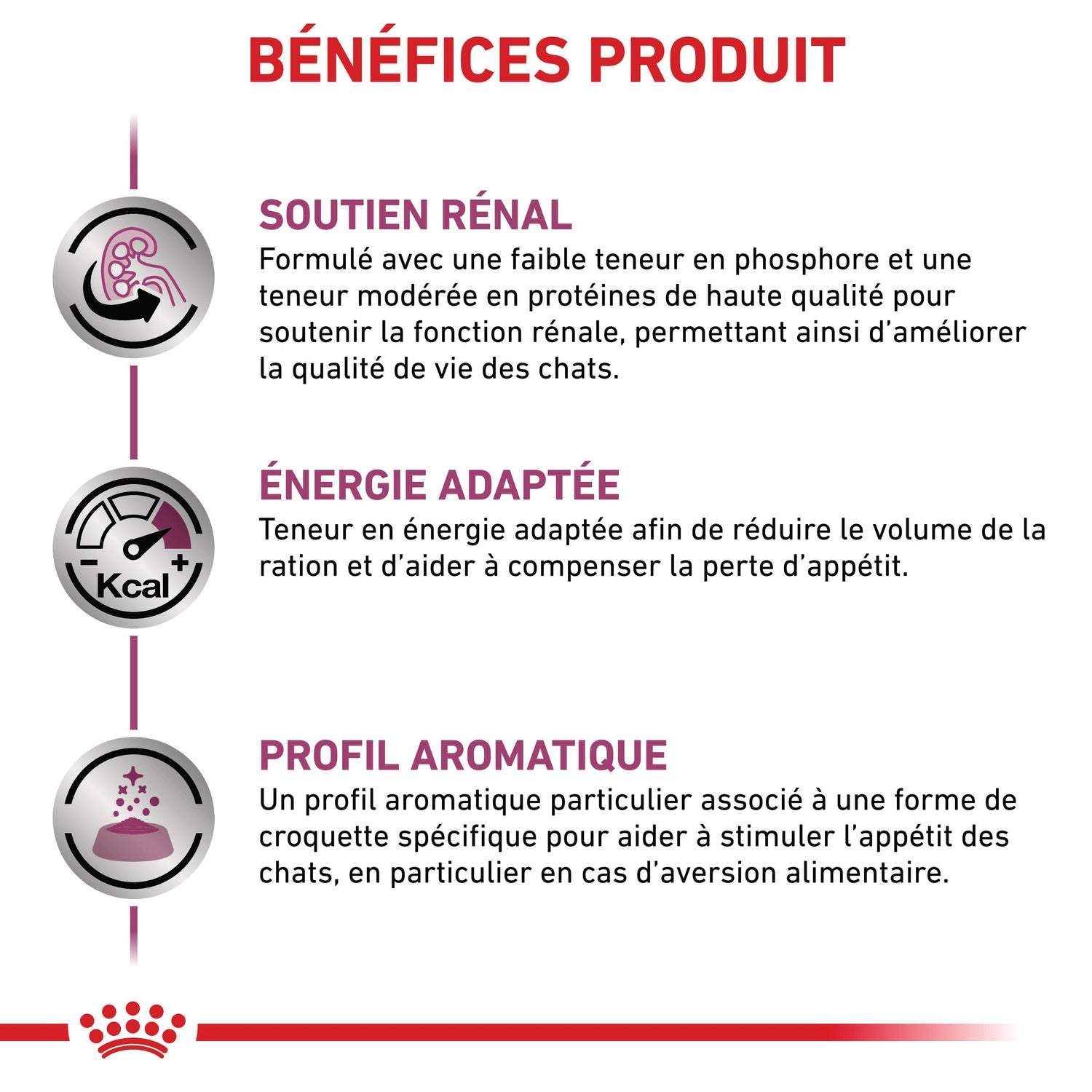 Royal Canin Veterinary Renal Special - croquettes chat