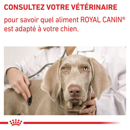 Royal Canin Veterinary Dog Adult - Pâtée pour chien