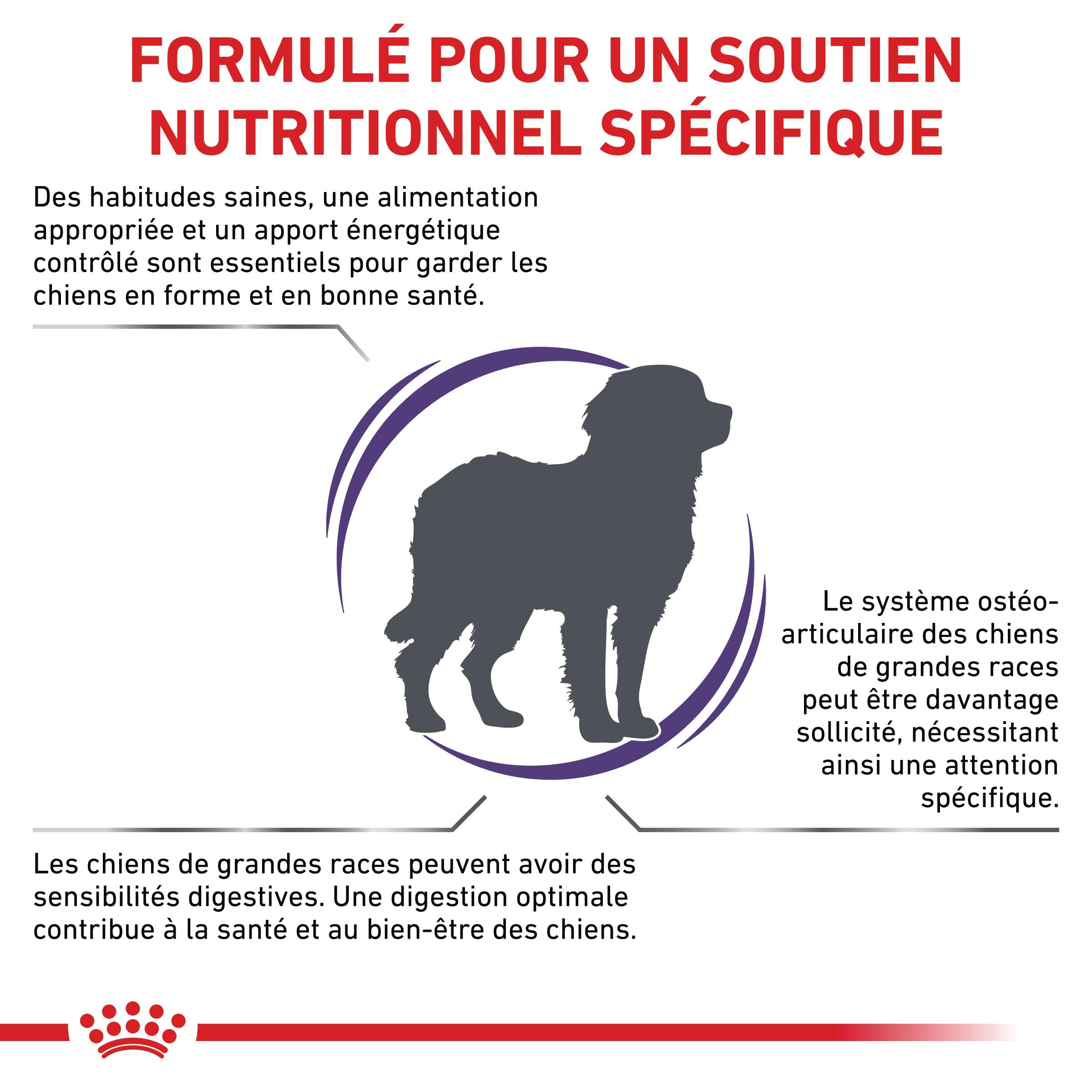 Royal Canin Veterinary Adult Large Dog - croquettes chien