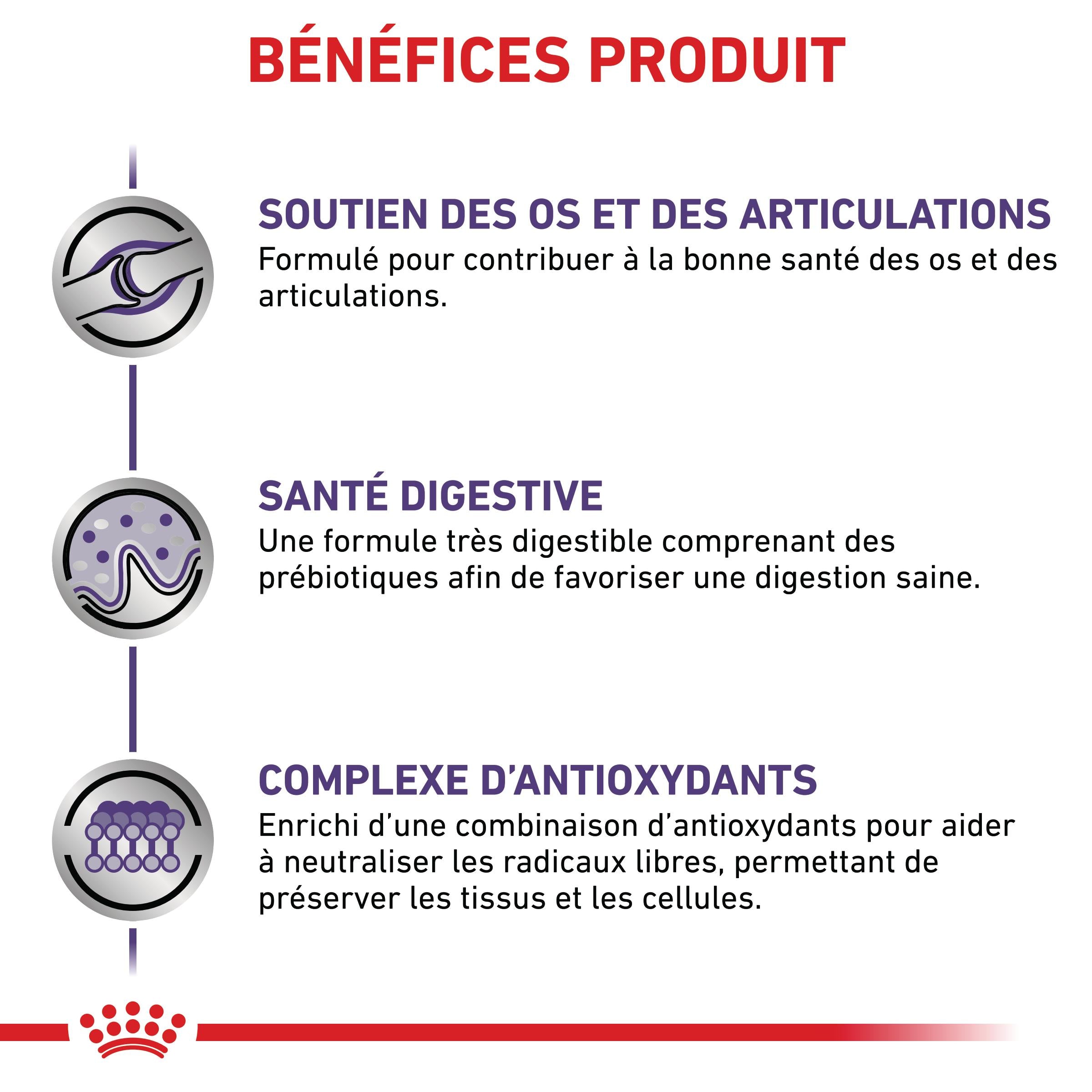 Royal Canin Veterinary Adult Large Dog - croquettes chien