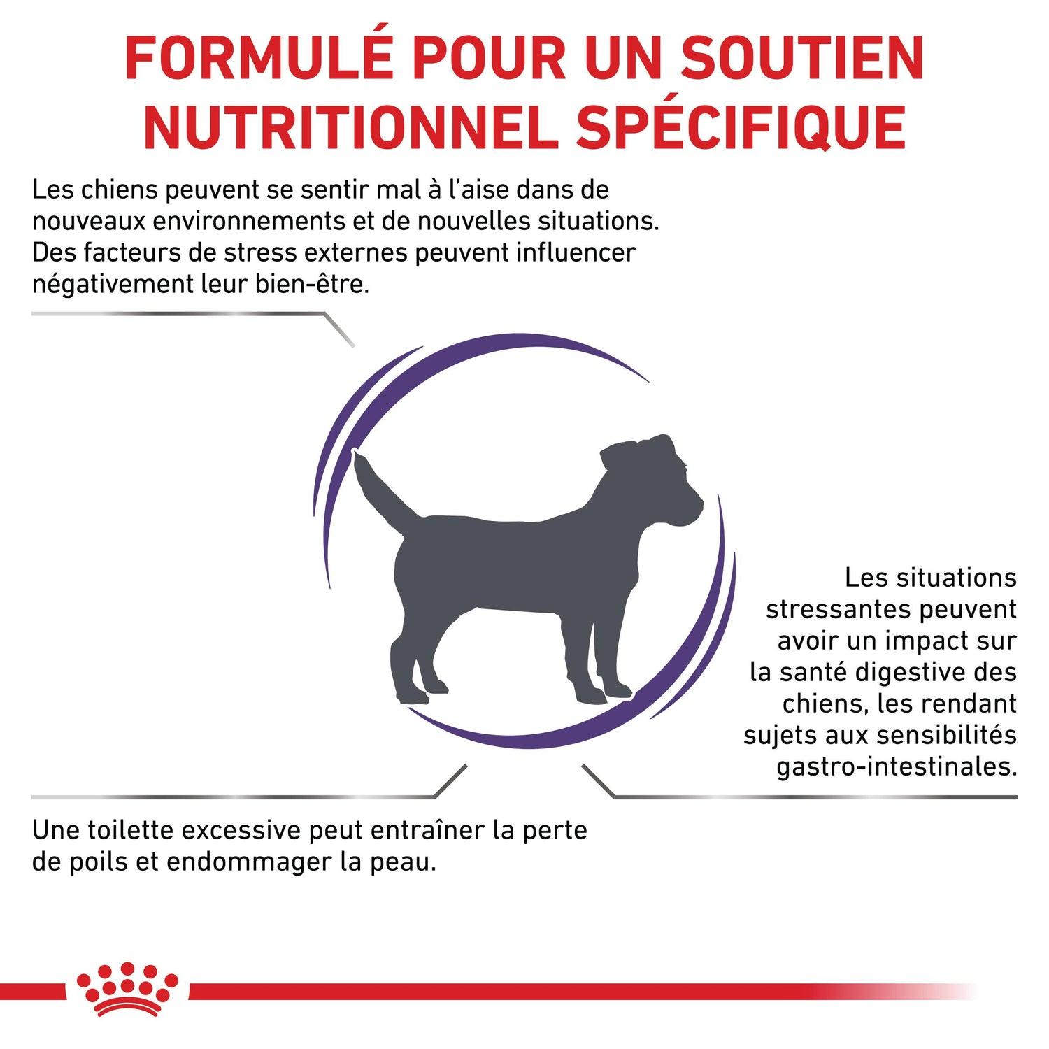 Royal Canin Veterinary Small Calm - croquettes chien