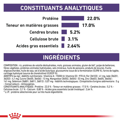 Royal Canin Veterinary Dental Medium &amp; Large Dogs - croquettes chien