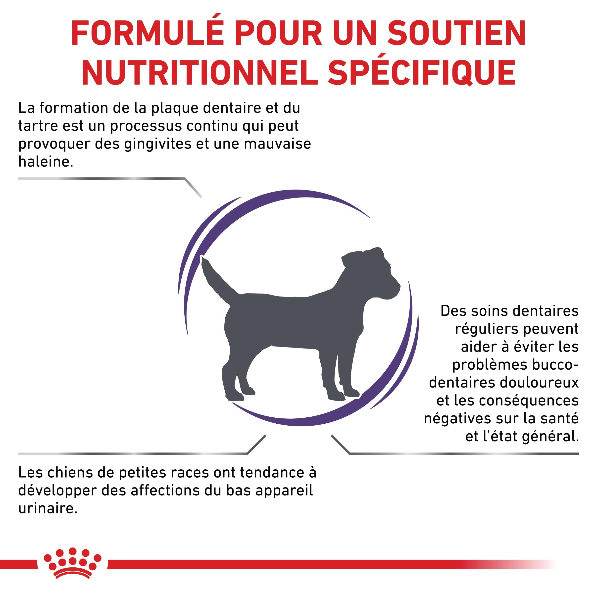 Royal Canin Veterinary Dental Small Dog