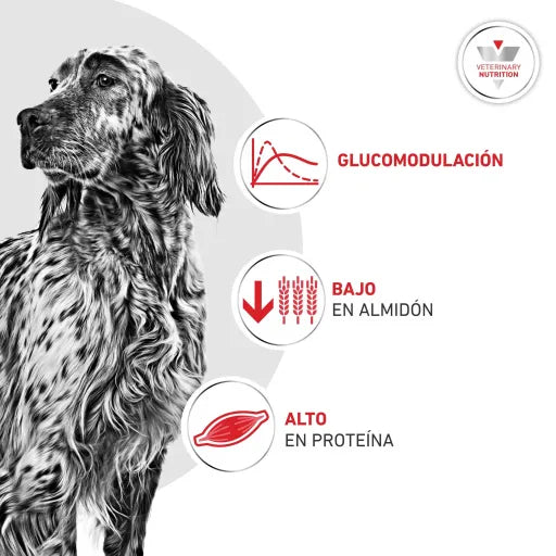 Royal Canin Glycobalance - croquettes chien