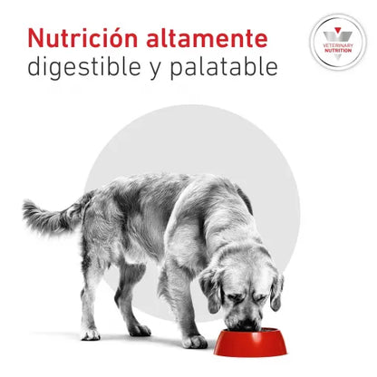 Royal Canin Glycobalance - croquettes chien