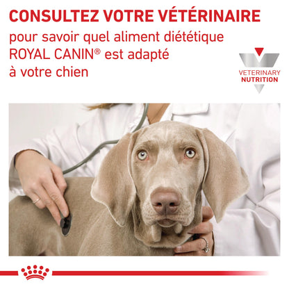 Royal Canin Veterinary Health Nutrition Diabetic Special
